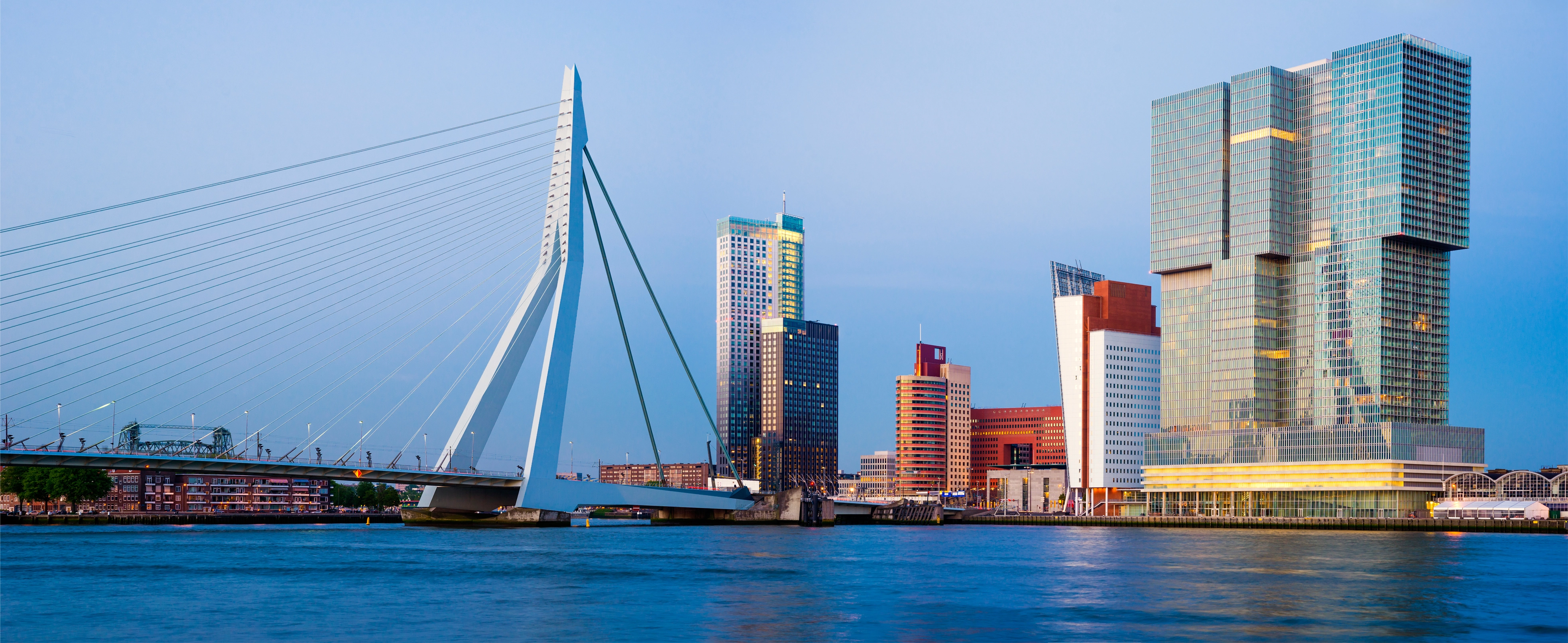Modern Rotterdam architecture during a private Rotterdam and Kinderdijk tour