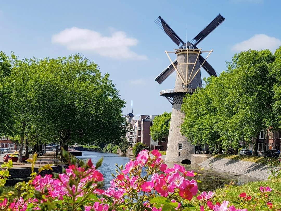 Historic windmill De Walvisch in Schiedam