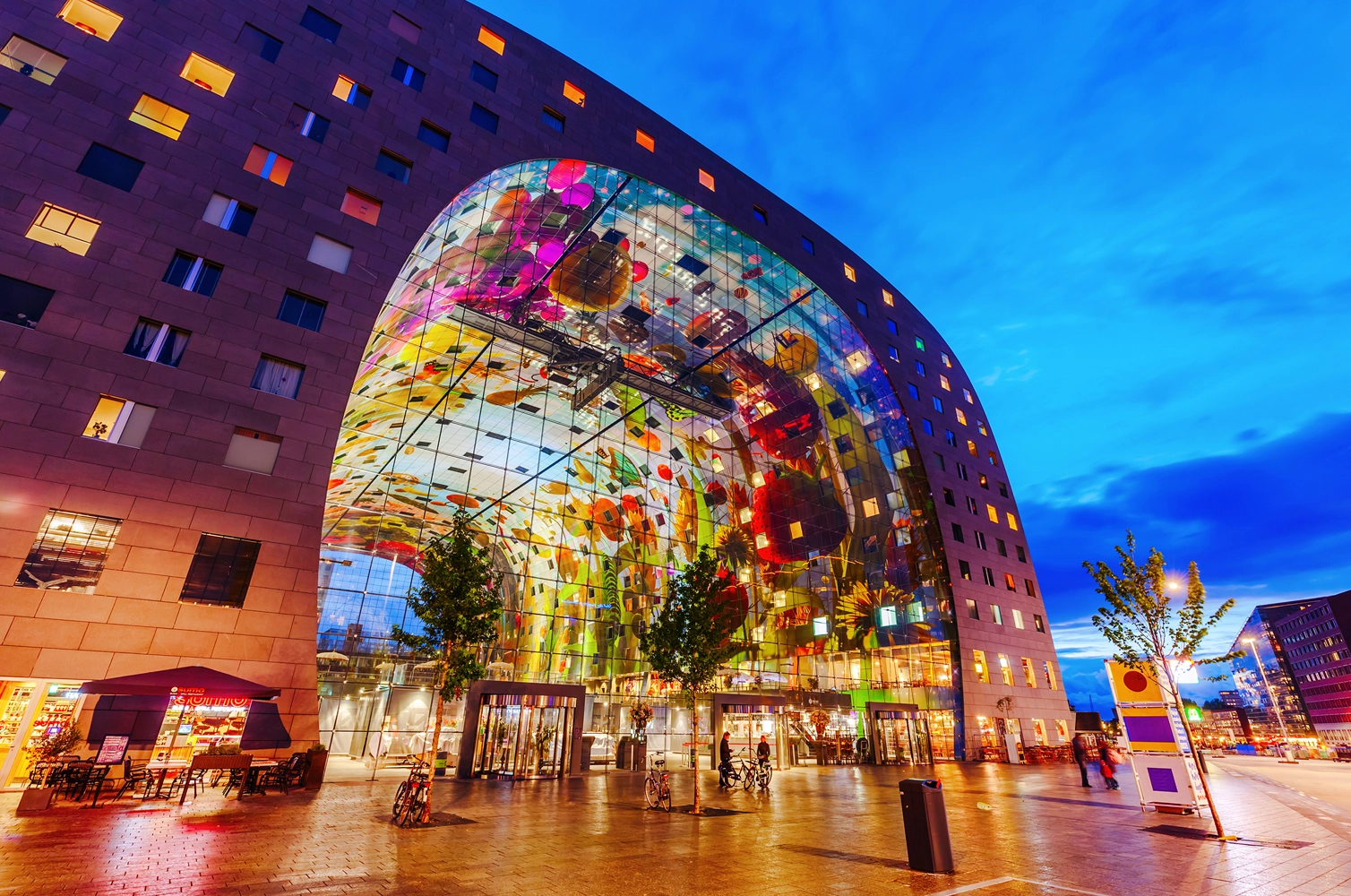 Markthal and modern architecture during a private Rotterdam Signature Tour