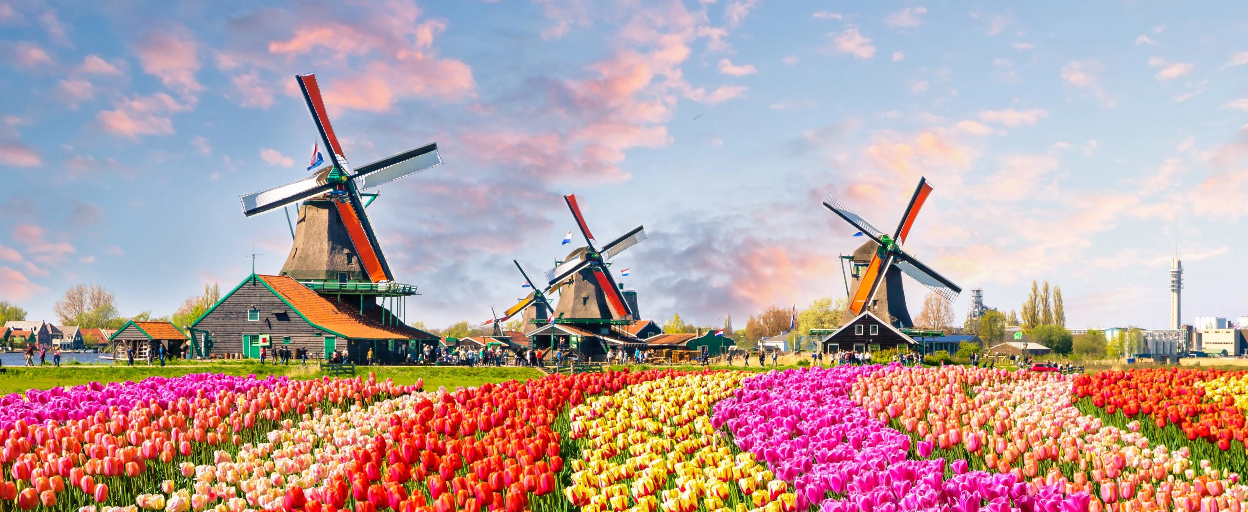 Rotterdam and Kinderdijk private guided day tour