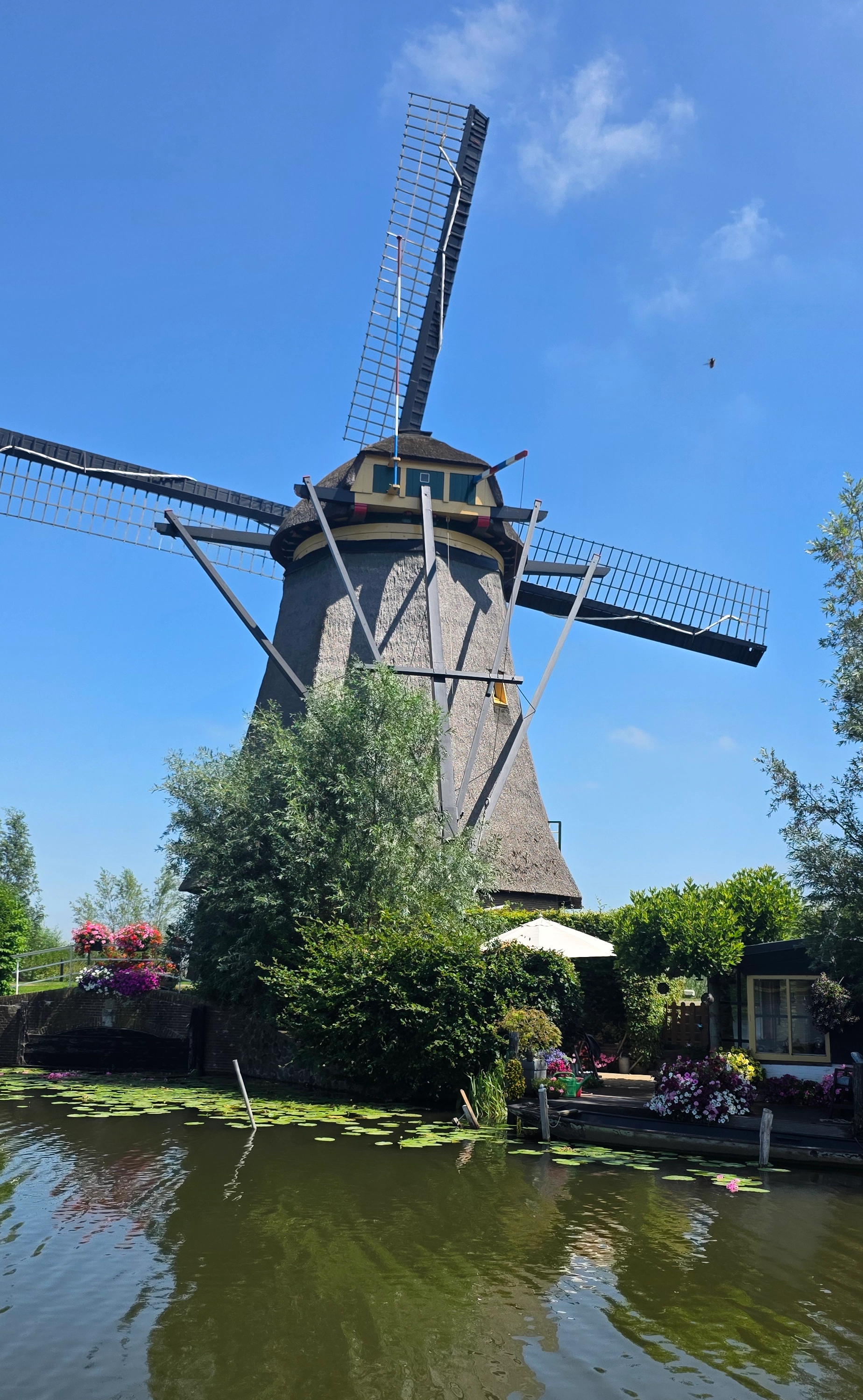Kinderdijk windmills, waterways and low-lying Dutch landscape