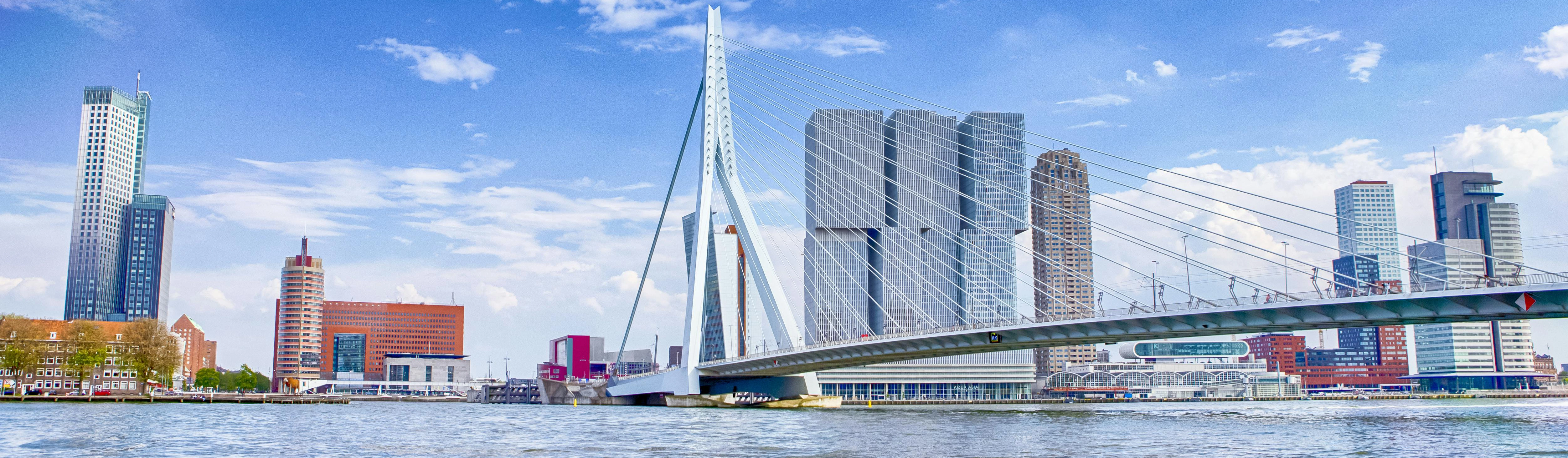 Private Rotterdam Signature Tour through the city